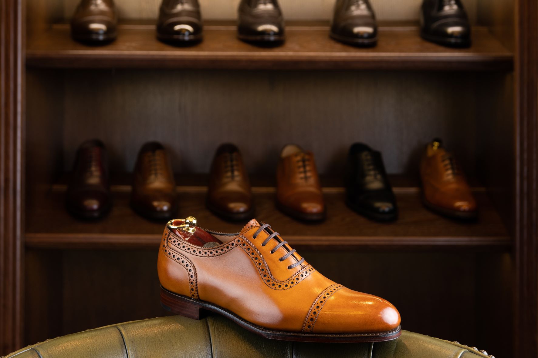 https://campaign-image.com/zohocampaigns/296670000047077012_zc_v83_1641848517681_bigstock_brown_full_grain_leather_shoe__302251321.jpg